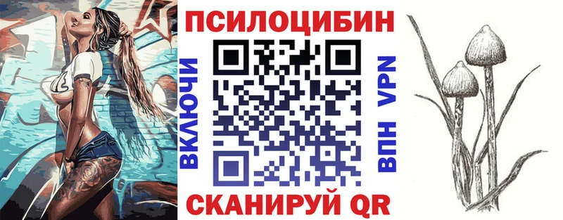 Псилоцибиновые грибы GOLDEN TEACHER  Пучеж 
